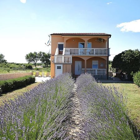 Apartment Sapavac Vir Bagian luar foto