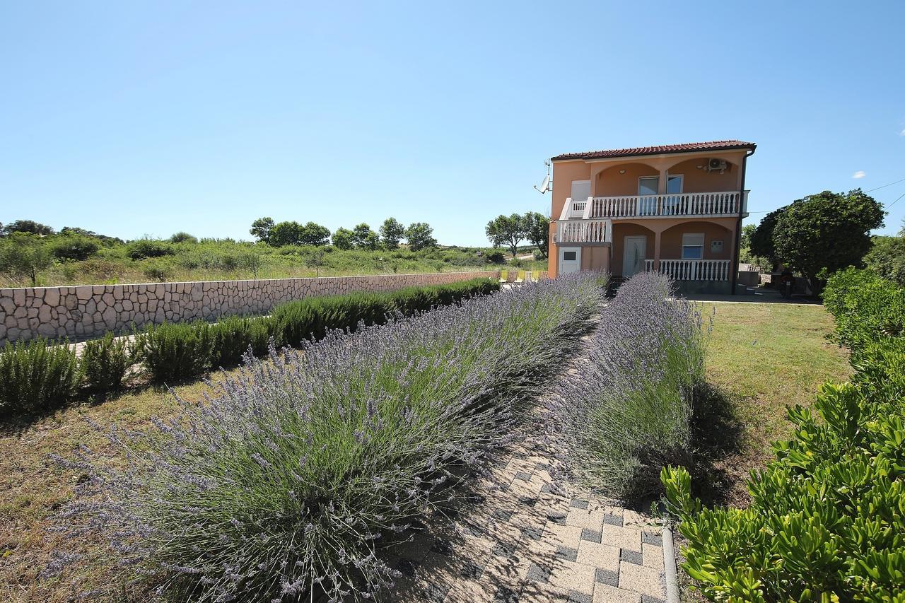 Apartment Sapavac Vir Bagian luar foto