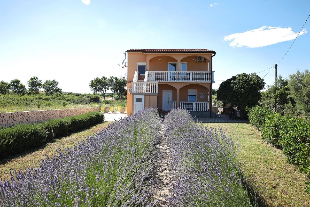 Apartment Sapavac Vir Bagian luar foto
